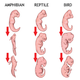 Image for article titled 8 Scientific Discoveries That Prove Evolution is Real